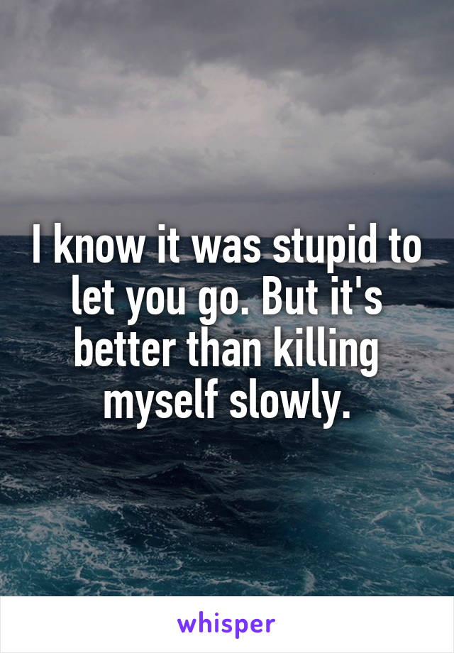 I know it was stupid to let you go. But it's better than killing myself slowly.