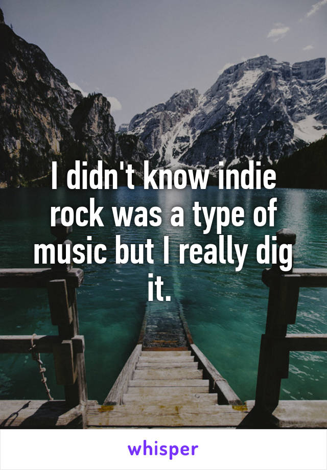 I didn't know indie rock was a type of music but I really dig it. 