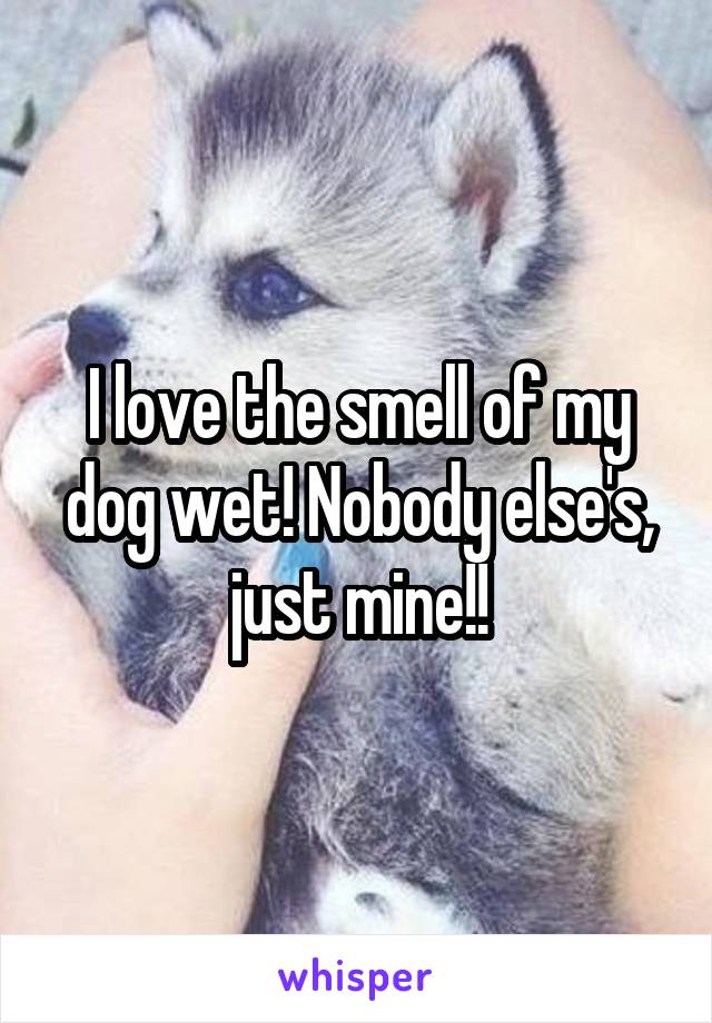 I love the smell of my dog wet! Nobody else's, just mine!!