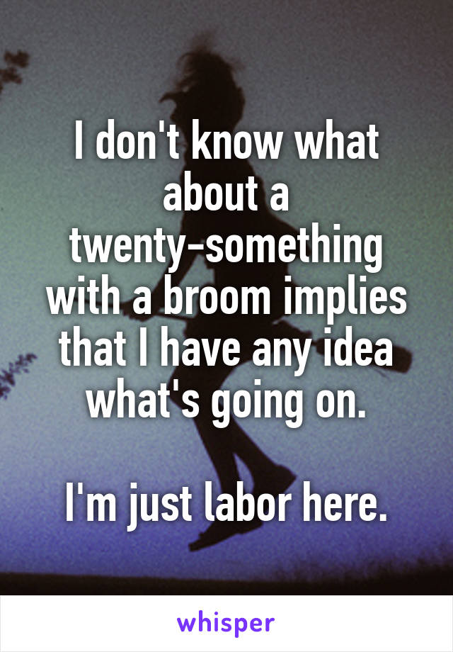 I don't know what about a twenty-something with a broom implies that I have any idea what's going on.

I'm just labor here.