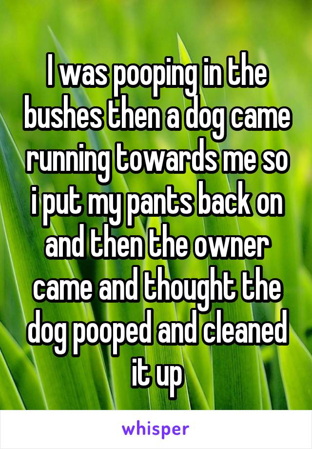 I was pooping in the bushes then a dog came running towards me so i put my pants back on and then the owner came and thought the dog pooped and cleaned it up