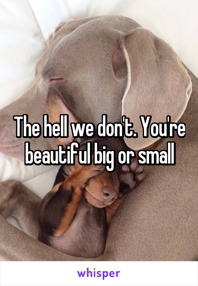 The hell we don't. You're beautiful big or small