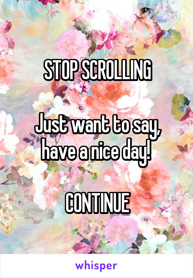 STOP SCROLLING

Just want to say, have a nice day! 

CONTINUE