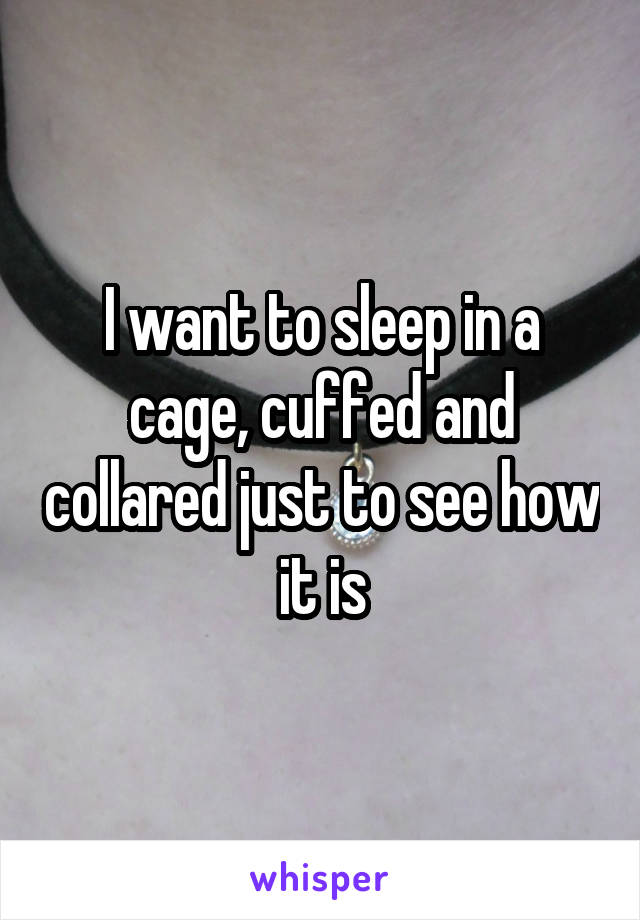 I want to sleep in a cage, cuffed and collared just to see how it is