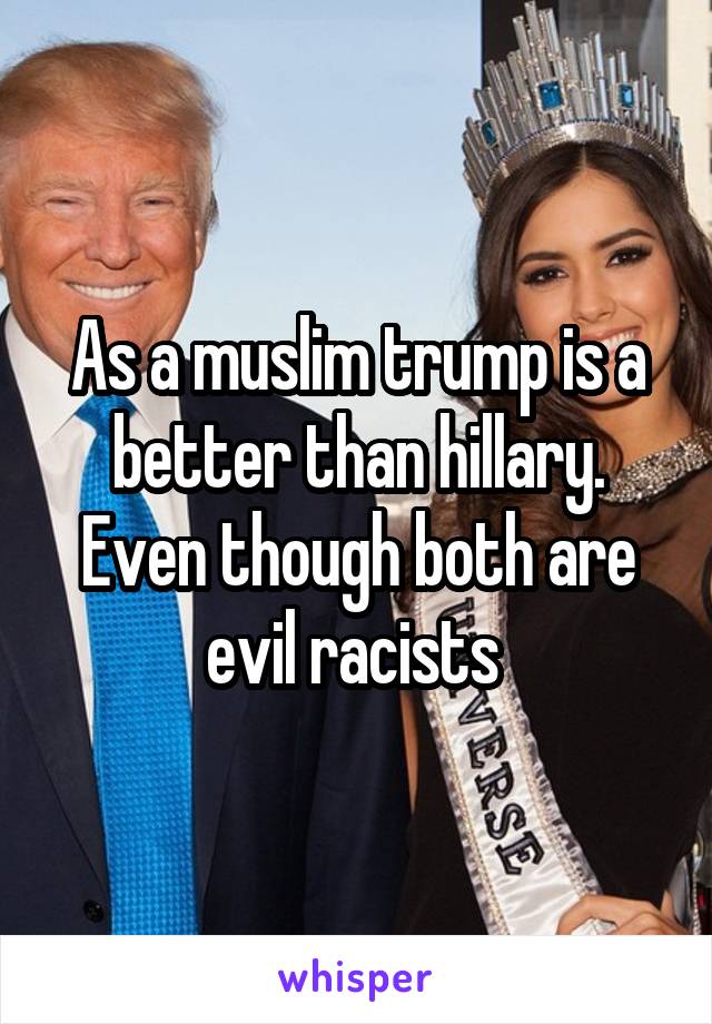 As a muslim trump is a better than hillary. Even though both are evil racists 