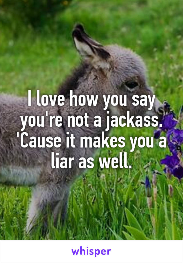 I love how you say you're not a jackass.
'Cause it makes you a liar as well.