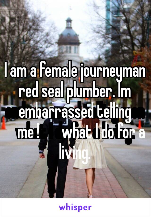 I am a female journeyman red seal plumber. Im embarrassed telling men️ what I do for a living. 