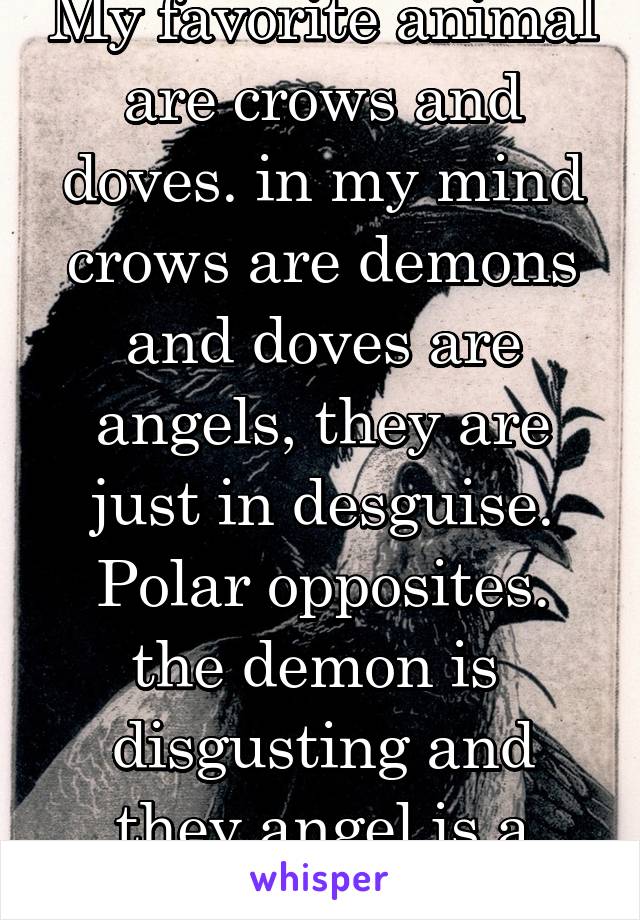 My favorite animal are crows and doves. in my mind crows are demons and doves are angels, they are just in desguise. Polar opposites. the demon is  disgusting and they angel is a "cleaner"