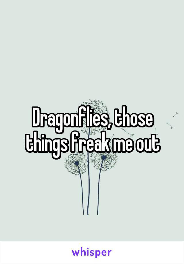 Dragonflies, those things freak me out