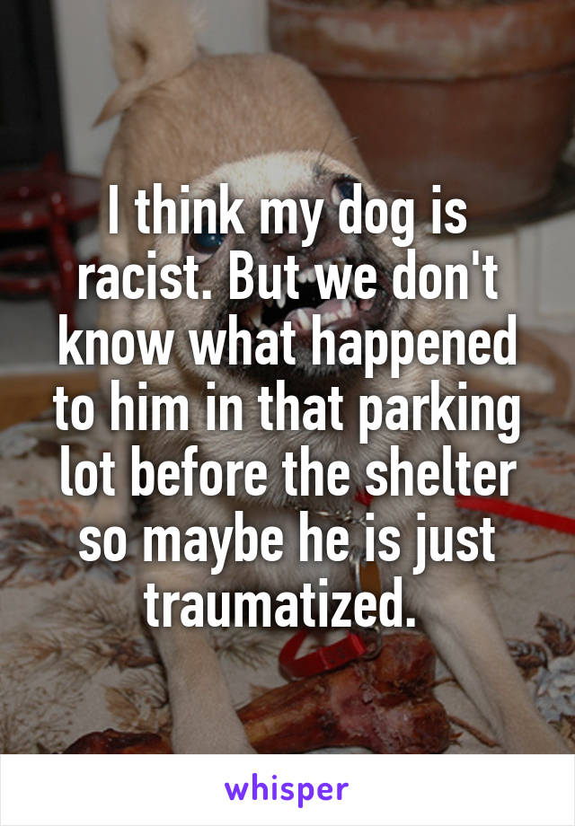 I think my dog is racist. But we don't know what happened to him in that parking lot before the shelter so maybe he is just traumatized. 