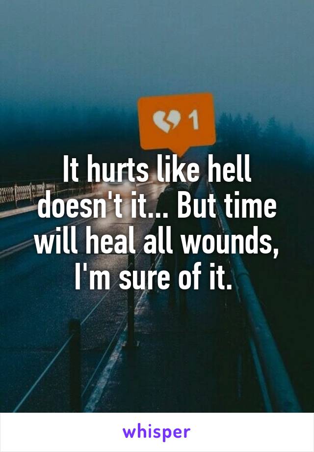 It hurts like hell doesn't it... But time will heal all wounds, I'm sure of it. 