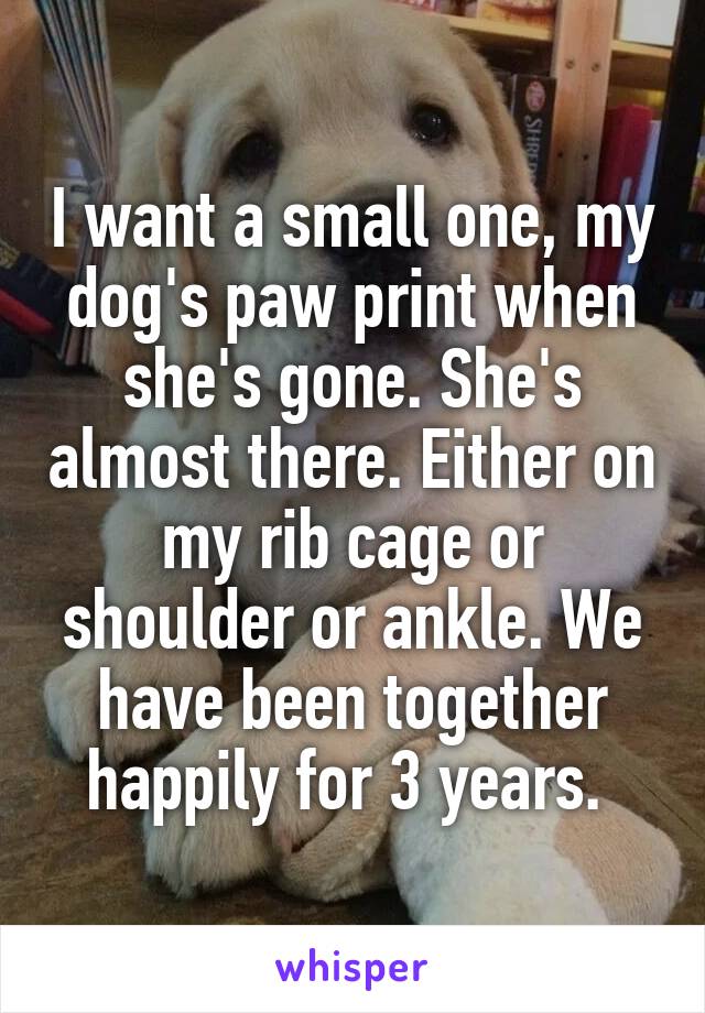 I want a small one, my dog's paw print when she's gone. She's almost there. Either on my rib cage or shoulder or ankle. We have been together happily for 3 years. 