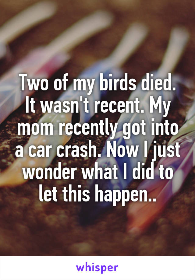 Two of my birds died. It wasn't recent. My mom recently got into a car crash. Now I just wonder what I did to let this happen..