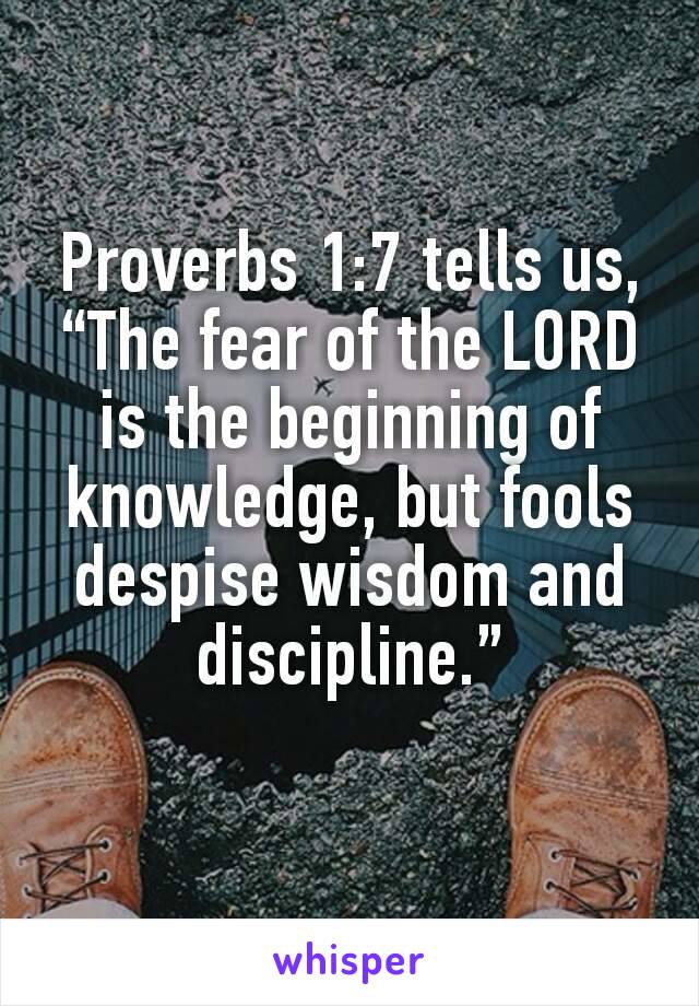 Proverbs 1:7 tells us, “The fear of the LORD is the beginning of knowledge, but fools despise wisdom and discipline.”
