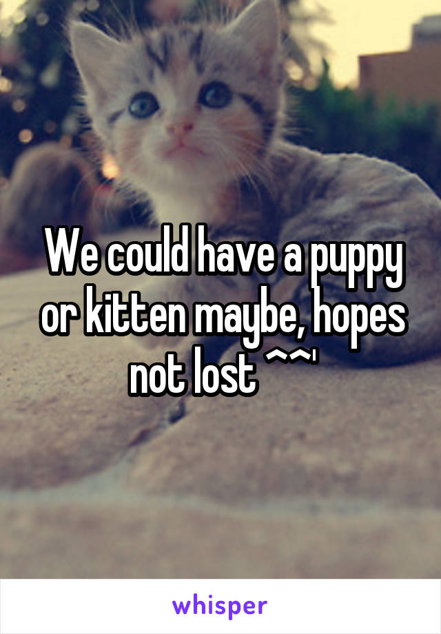 We could have a puppy or kitten maybe, hopes not lost ^^'