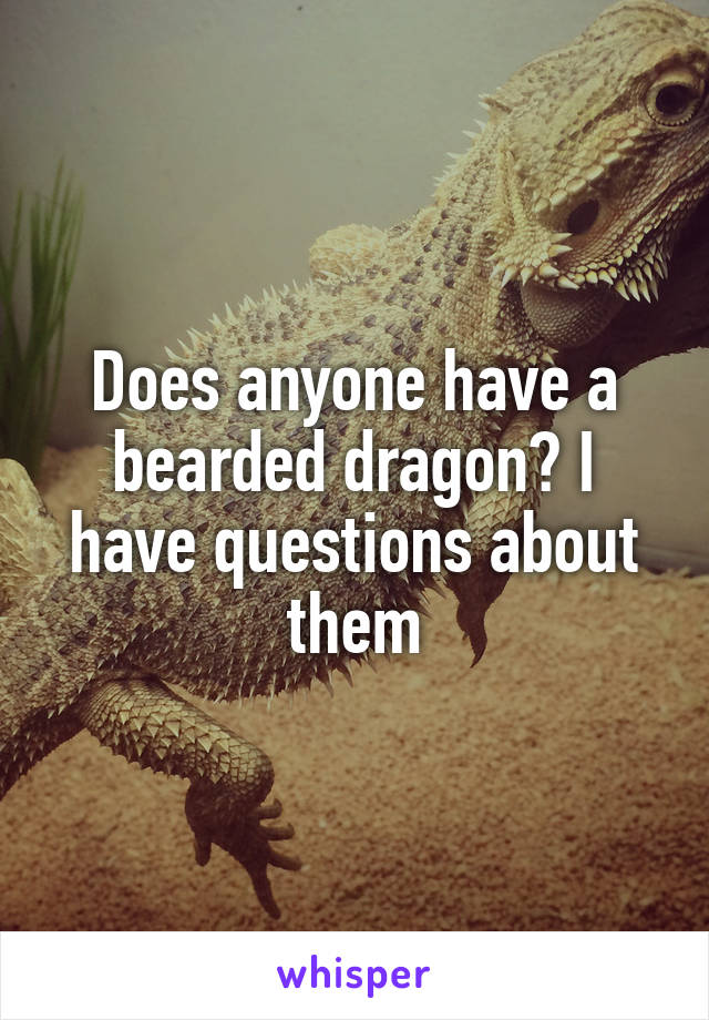 Does anyone have a bearded dragon? I have questions about them