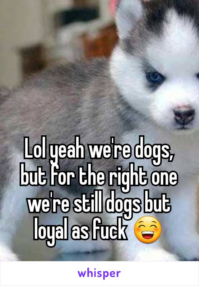 Lol yeah we're dogs, but for the right one we're still dogs but loyal as fuck 😁