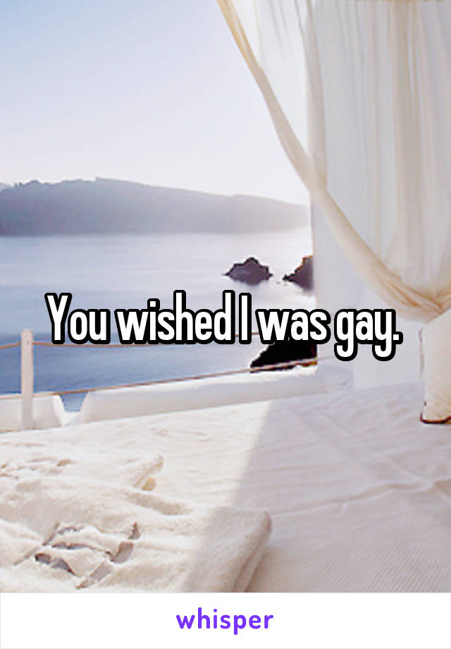 You wished I was gay. 