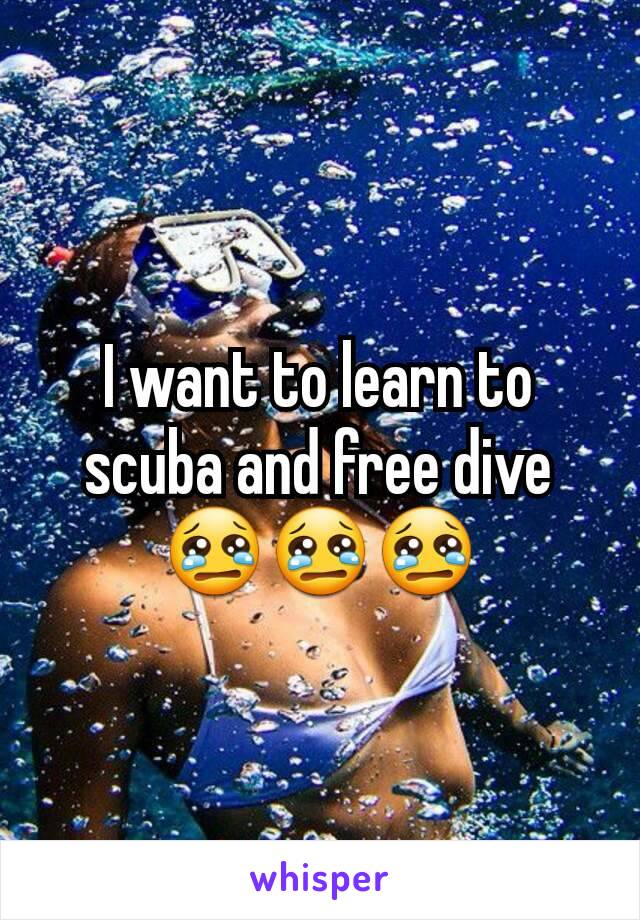 I want to learn to scuba and free dive 😢😢😢