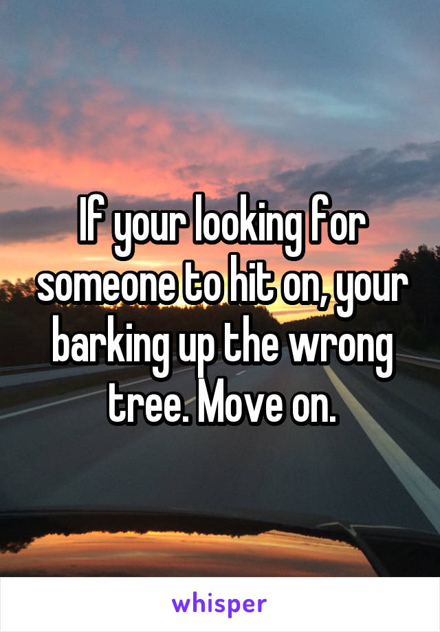 If your looking for someone to hit on, your barking up the wrong tree. Move on.