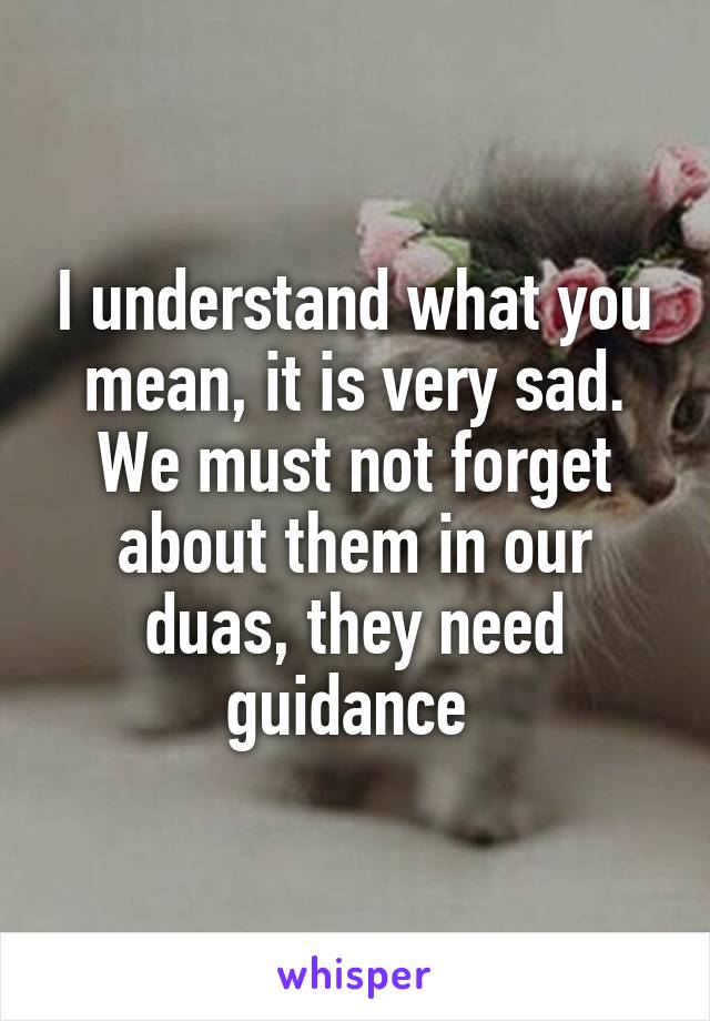I understand what you mean, it is very sad. We must not forget about them in our duas, they need guidance 
