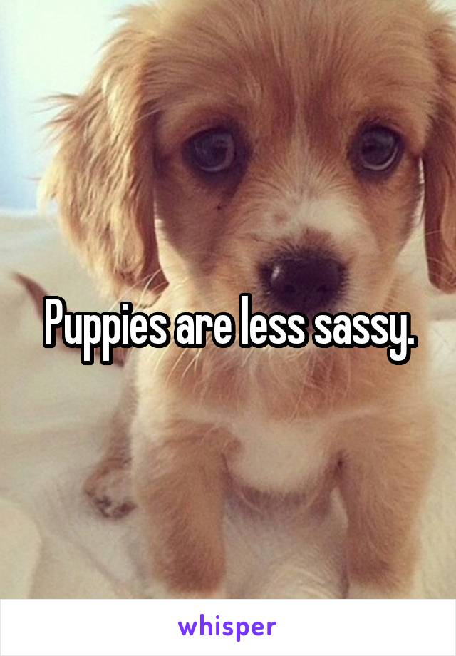 Puppies are less sassy.