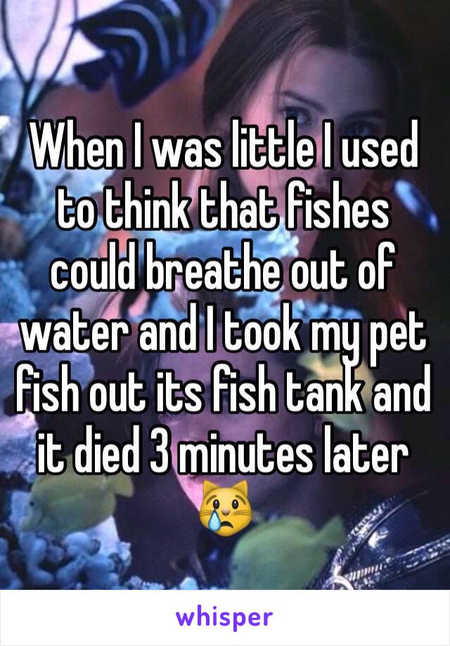When I was little I used to think that fishes could breathe out of water and I took my pet fish out its fish tank and it died 3 minutes later 😿