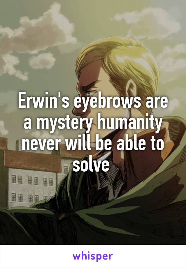 Erwin's eyebrows are a mystery humanity never will be able to solve 