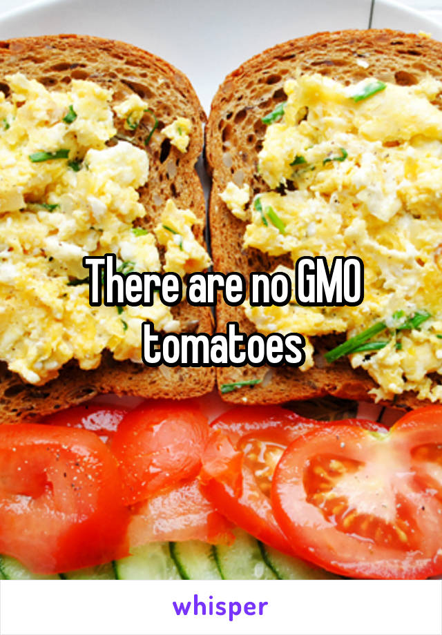There are no GMO tomatoes