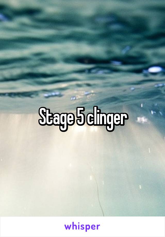 Stage 5 clinger