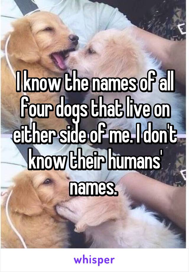 I know the names of all four dogs that live on either side of me. I don't know their humans' names. 