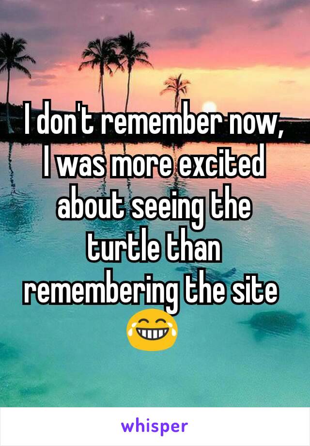 I don't remember now, I was more excited about seeing the turtle than remembering the site 
😂 