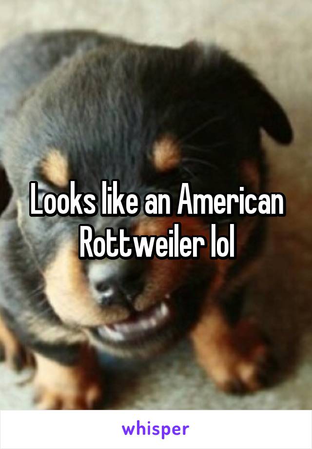 Looks like an American Rottweiler lol