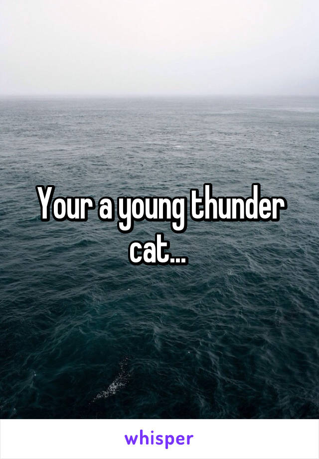 Your a young thunder cat... 