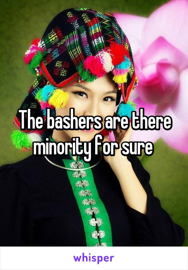 The bashers are there minority for sure 