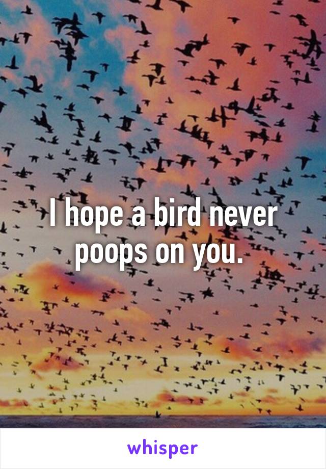 I hope a bird never poops on you. 