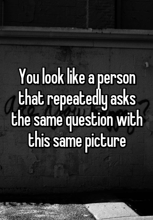 you-look-like-a-person-that-repeatedly-asks-the-same-question-with-this