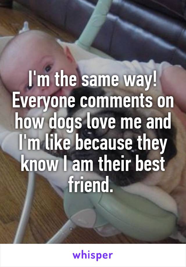 I'm the same way! Everyone comments on how dogs love me and I'm like because they know I am their best friend. 