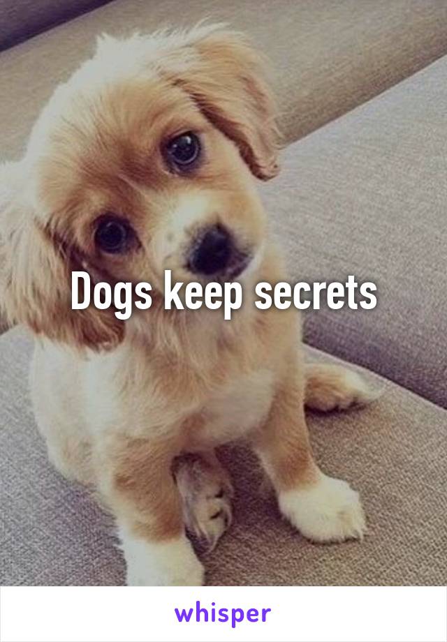Dogs keep secrets
