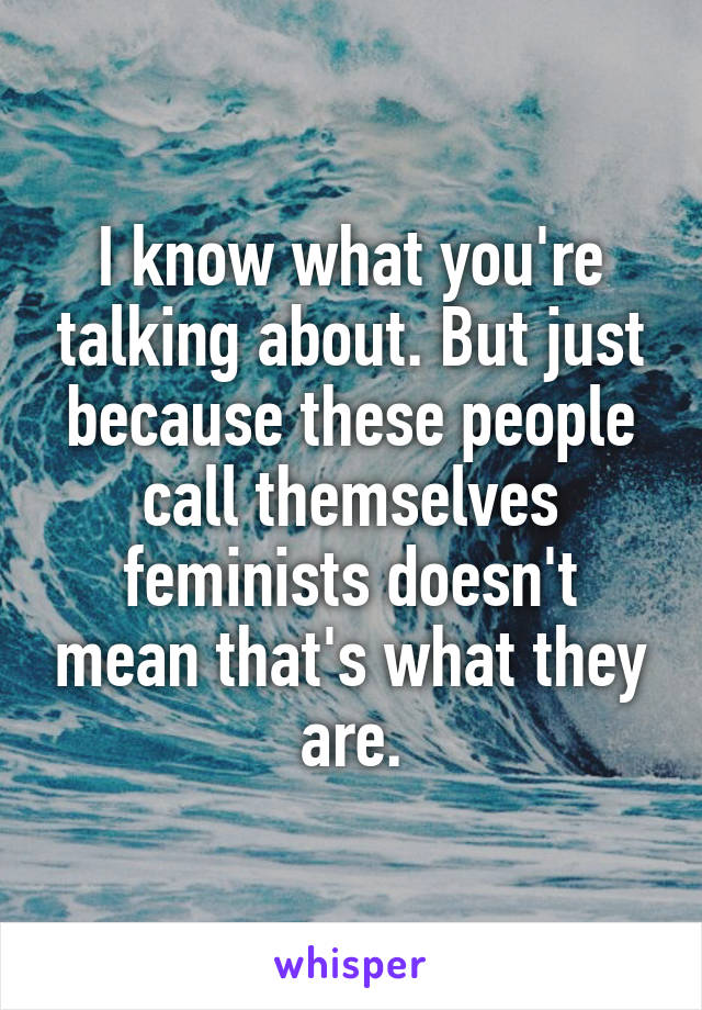 I know what you're talking about. But just because these people call themselves feminists doesn't mean that's what they are.