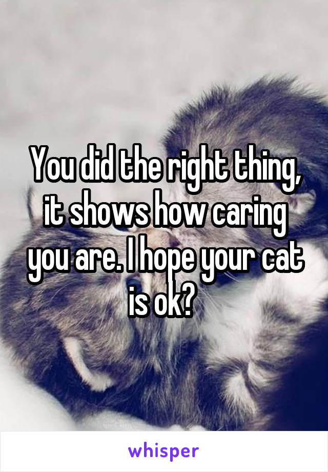 You did the right thing, it shows how caring you are. I hope your cat is ok? 