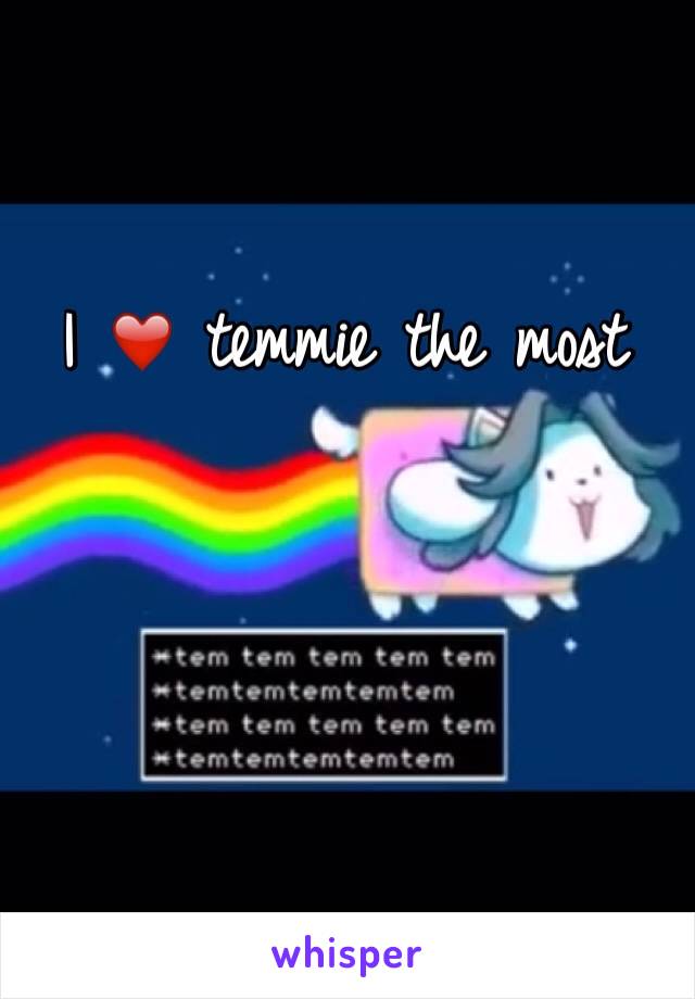 I ❤️ temmie the most 