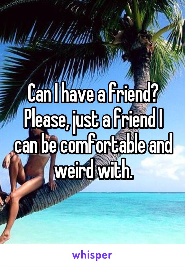 Can I have a friend? Please, just a friend I can be comfortable and weird with.