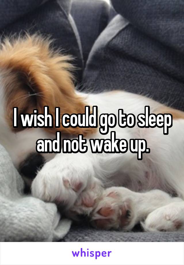 I wish I could go to sleep and not wake up.