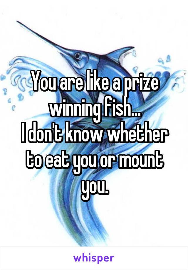 You are like a prize winning fish...
I don't know whether to eat you or mount you.