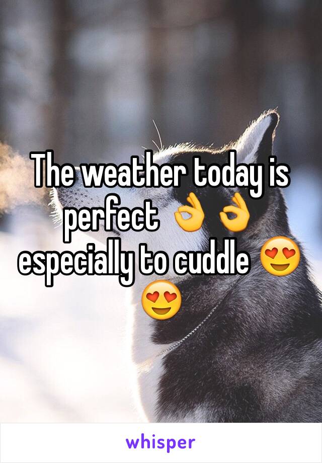 The weather today is perfect 👌👌 especially to cuddle 😍😍