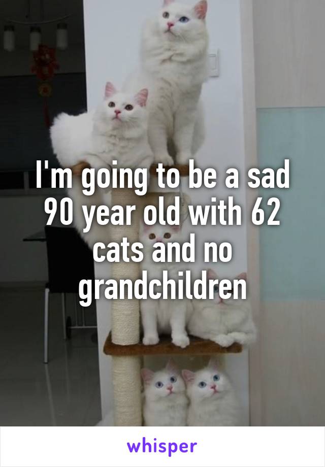 I'm going to be a sad 90 year old with 62 cats and no grandchildren