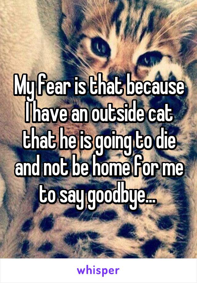 My fear is that because I have an outside cat that he is going to die and not be home for me to say goodbye... 