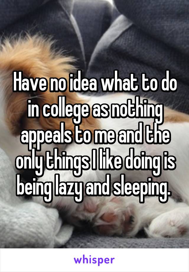 Have no idea what to do in college as nothing appeals to me and the only things I like doing is being lazy and sleeping. 