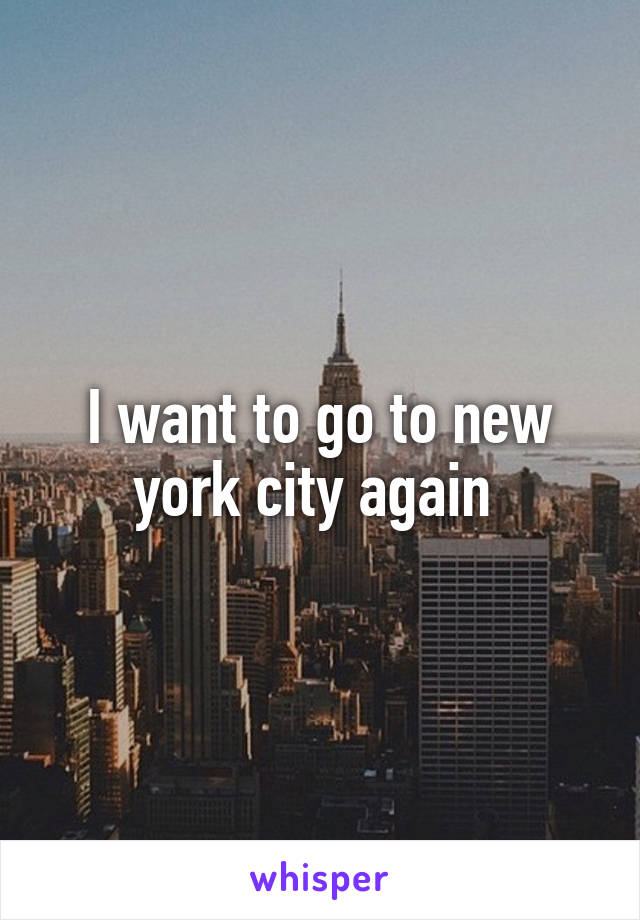 I want to go to new york city again 